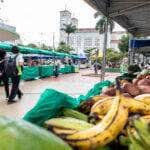 Feira da Agricultura Familiar de Cuiaba ganha novidades e atrai publico