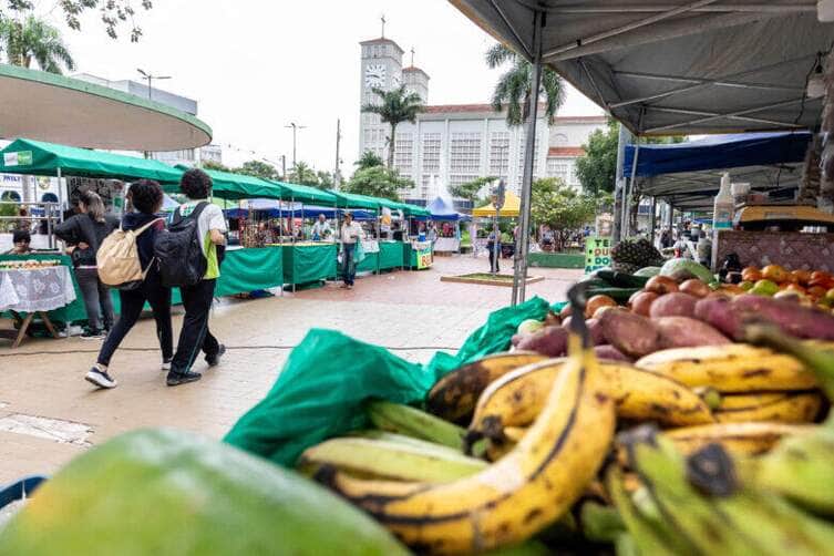 Feira da Agricultura Familiar de Cuiaba ganha novidades e atrai publico