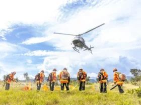 ForestFire reúne especialistas internacionais para debater incêndios florestais em Mato Grosso