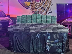 Gefron apreende cocaína e impõe prejuízo milionário ao tráfico