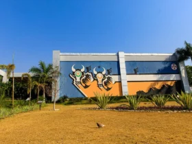 Nova lei sobre consignado altera regras e protege servidores em Mato Grosso