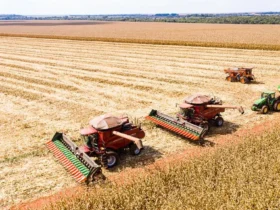 Mato Grosso inicia colheita de milho com previsão de 50,3 milhões de toneladas