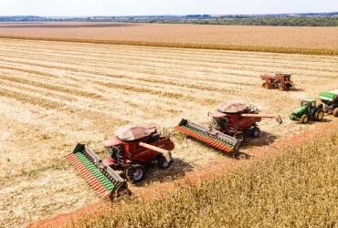 Mato Grosso inicia colheita de milho com previsão de 50,3 milhões de toneladas