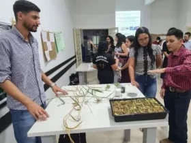 MEET registra recorde de inscritos e impulsiona inovação nas escolas técnicas
