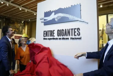 Museu reabre com exposição e marca avanço na restauração
