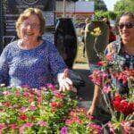 No Dia dos Namorados Varzea Grande abre 1° Festival de Flores e Plantas
