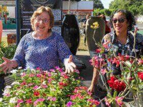 No Dia dos Namorados Varzea Grande abre 1° Festival de Flores e Plantas
