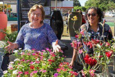 No Dia dos Namorados Varzea Grande abre 1° Festival de Flores e Plantas