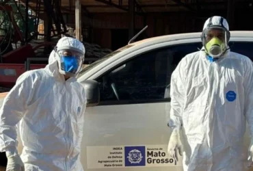 Nove pessoas sao monitoradas apos contato com aves infectadas com gripe aviaria em Mato Grosso