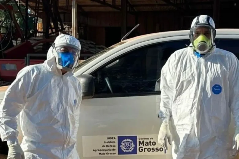 Nove pessoas sao monitoradas apos contato com aves infectadas com gripe aviaria em Mato Grosso