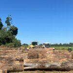 Operacao contra exploracao ilegal de madeira e deflagrada em Mato Grosso