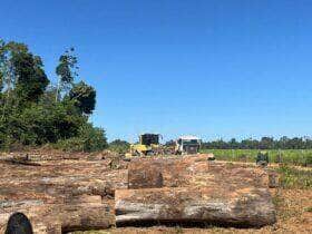 Operacao contra exploracao ilegal de madeira e deflagrada em Mato Grosso