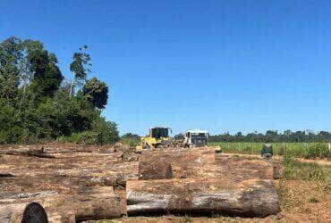 Operacao contra exploracao ilegal de madeira e deflagrada em Mato Grosso