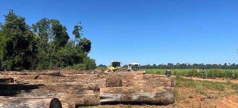 Operacao contra exploracao ilegal de madeira e deflagrada em Mato Grosso