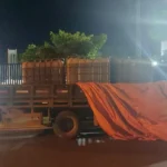 Motorista é preso por transporte irregular de combustível em MT