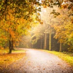 Paisagem - Natureza