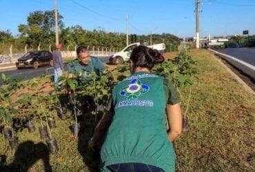 Pauta ambiental deixa de ser apenas um ato comemorativo em Varzea Grande