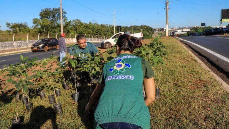 Pauta ambiental deixa de ser apenas um ato comemorativo em Varzea Grande