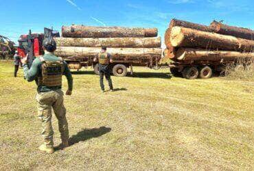 Policia apreende caminhoes de madeira ilegal e desvenda tatica criminosa em Mato Grosso