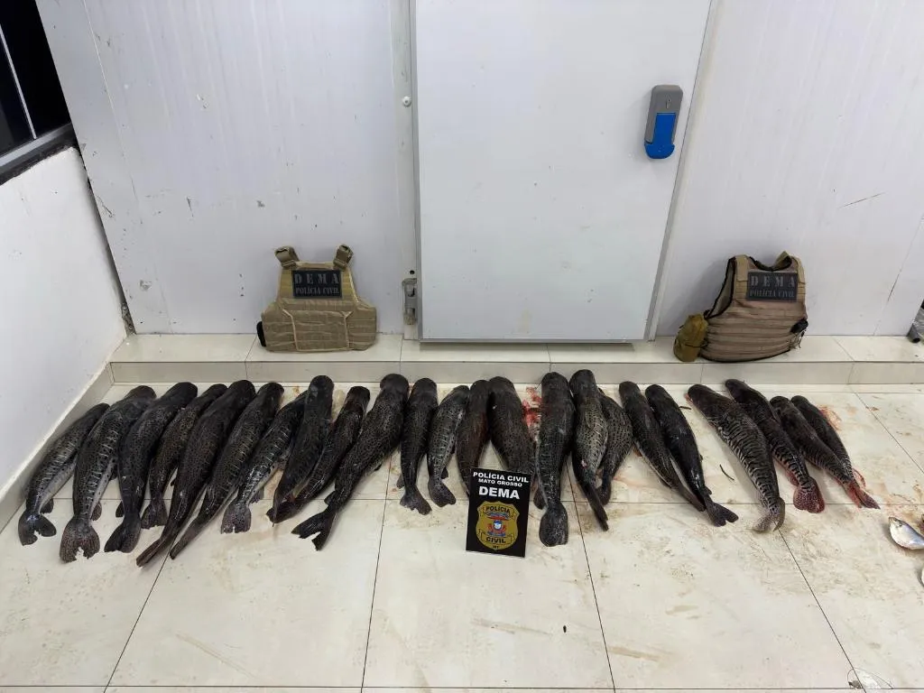 Polícia apreende 124 quilos de pescado ilegal escondido em plantação