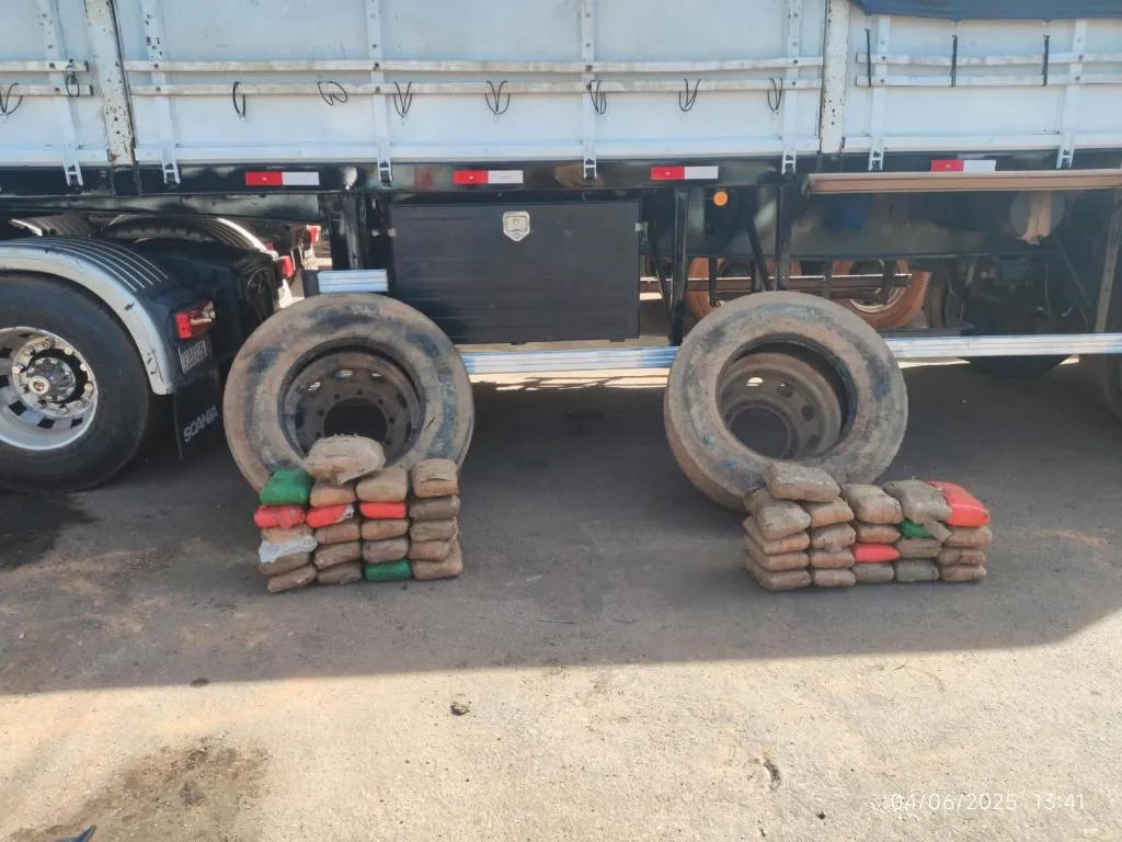 Polícia apreende skunk escondido em pneus de caminhão leiloado