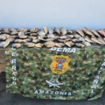 Polícia apreende pescado ilegal em residência de Cuiabá durante fiscalização