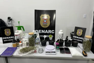 Polícia Civil realiza operação em Mato Grosso contra tráfico de drogas em três cidades