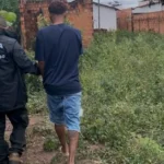 Polícia apreende 1.600 pinos e prende suspeito por tráfico em Rosário Oeste