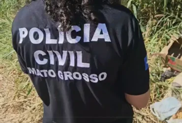 Mulher é presa por maus-tratos a gatos após denúncia em Cuiabá