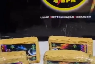 Polícia apreende maconha em chácara na zona rural de Várzea Grande