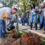 Prefeito de Rondonopolis marca inicio das acoes da Semana do Meio Ambiente com plantio de arvores