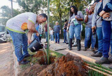 Prefeito de Rondonopolis marca inicio das acoes da Semana do Meio Ambiente com plantio de arvores