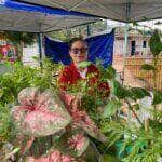 Produtora de Cuiaba supera cancer e transforma cultivo de plantas em negocio com apoio de Mato Grosso