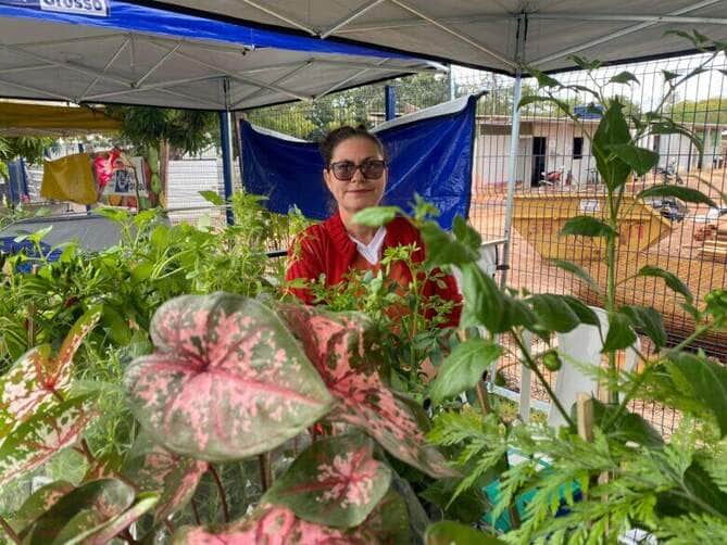 Produtora de Cuiaba supera cancer e transforma cultivo de plantas em negocio com apoio de Mato Grosso