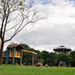 Virada Sustentável movimenta Cuiabá com mais de 50 atividades gratuitas
