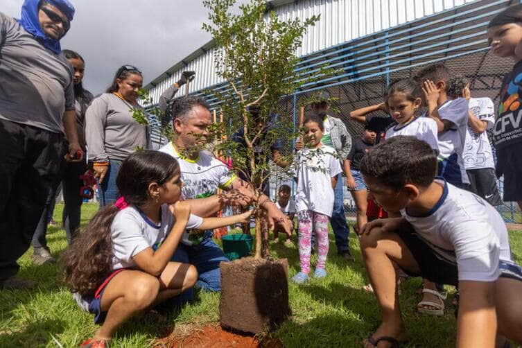 Rondonopolis aposta em pomares urbanos