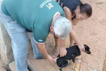 Rondonopolis realiza vacinacao de pets de porta em porta
