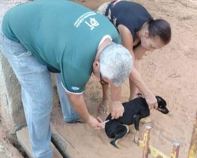 Rondonopolis realiza vacinacao de pets de porta em porta
