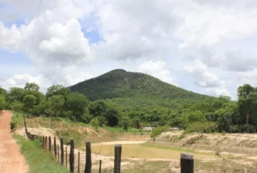 Investimentos internacionais impulsionam recuperação ambiental no Mato Grosso
