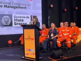 Mato Grosso reforça integração no combate a incêndios florestais