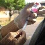 Sinop antecipa vacinacao antirrabica e ja alcanca 1365 da meta veja programacao da acao itinerante