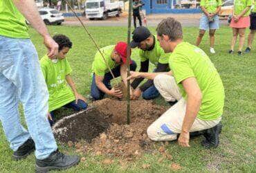 Sinop ja plantou 3 mil mudas de arvores esse ano e se destaca na arborizacao urbana