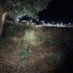 WhatsApp Image 2025 06 18 at 11.39.58