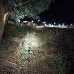 WhatsApp Image 2025 06 18 at 11.39.59