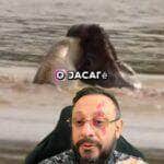 WhatsApp Image 2025 06 18 at 16.39.04
