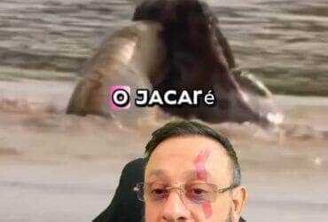 WhatsApp Image 2025 06 18 at 16.39.04