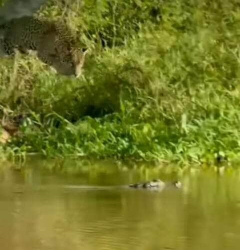 WhatsApp Image 2025 06 19 at 09.37.15