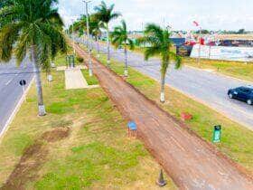 avenida brasil canteiro central