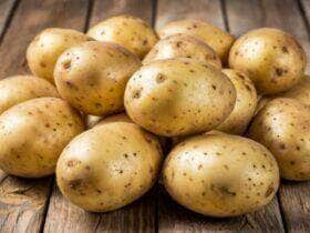 batatas