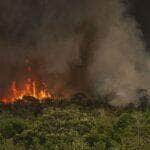 Brasília (DF), 16/09/2024 - Grandes focos de incêndio atingem áreas do Parque Nacional de Brasília. Foto: Marcelo Camargo/Agência Brasil